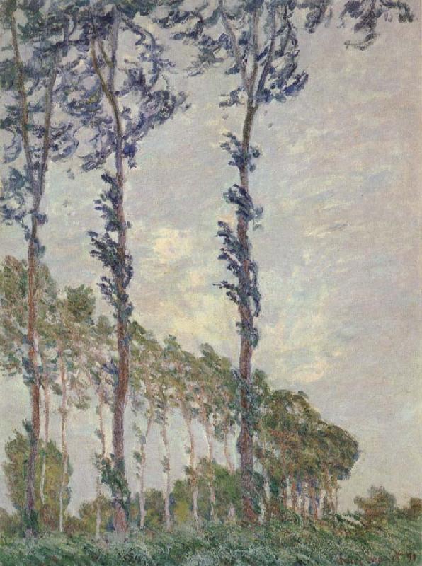 Claude Monet WInd Effect,Sequence of Poplars Germany oil painting art